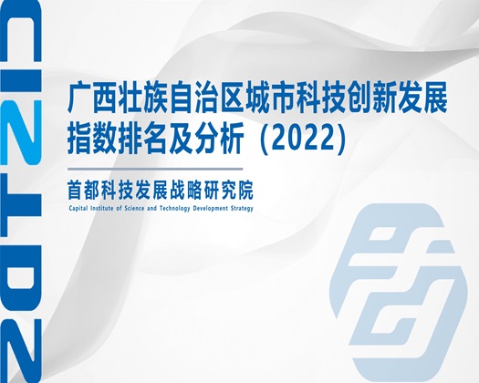 摸少萝胸洗澡视频网站【成果发布】广西壮族自治区城市科技创新发展指数排名及分析（2022）